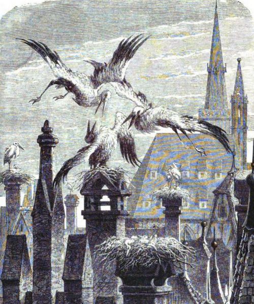 Das Storchennest, Ein Kampf auf den Dächern von Straßburg_