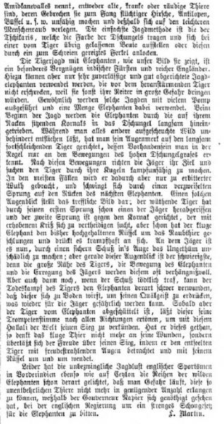 Tigerjagd mit Elefanten (2)