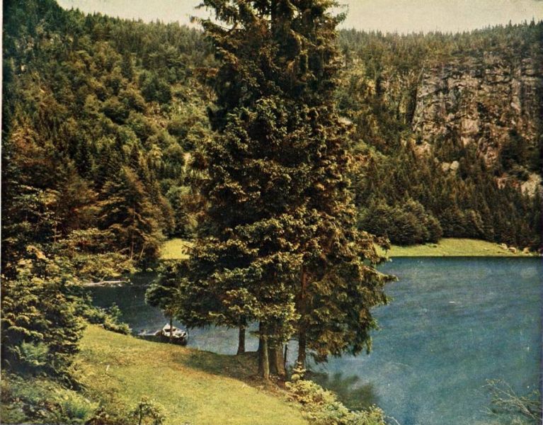 Der Feldsee im Schwarzwald