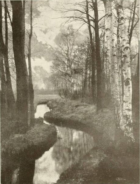 Waldbach am Niederrhein