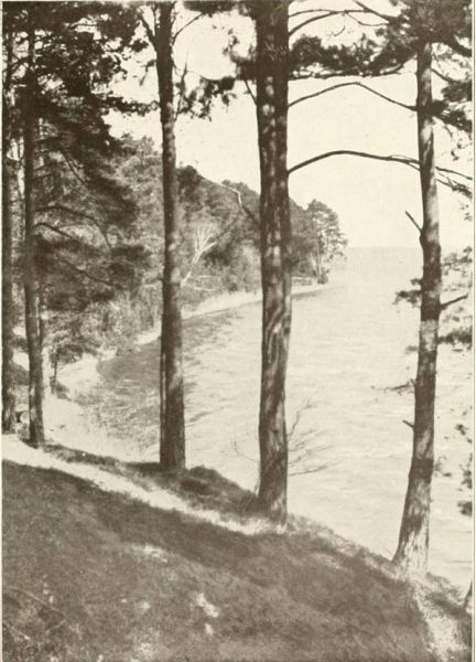 Am Scharmützelsee