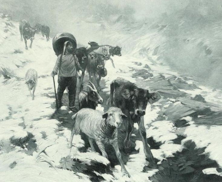 Vom Schnee überrascht