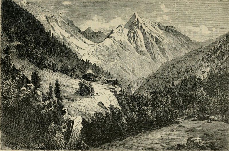 Brandengurger Kolm im Zillergrund