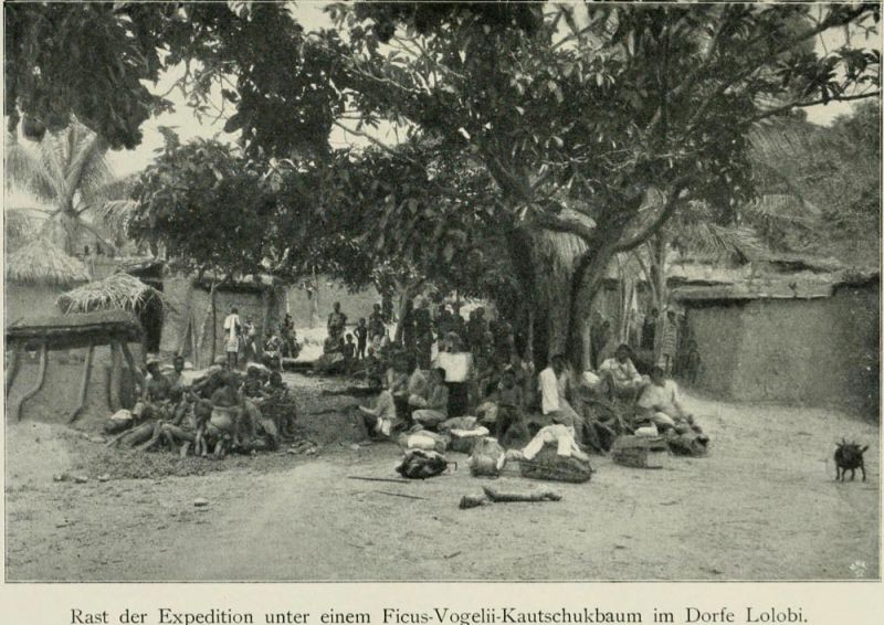 16 Rast der Expedition unter einem Ficus Vogelii-Kautschukbaum im Dorfe Lolobi 