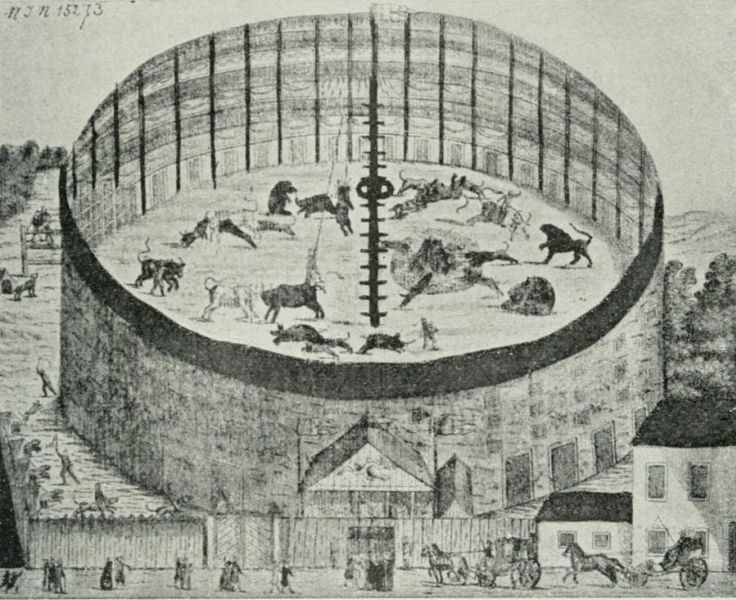Das Hetztheater unter den Weißgärbern.