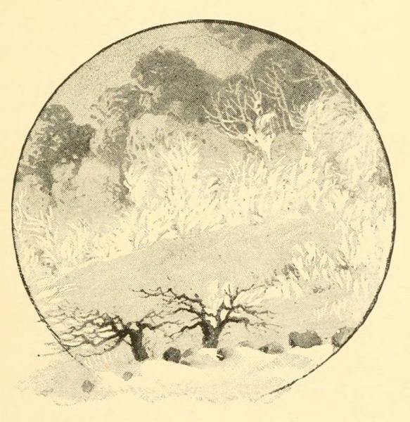 James Thomson 