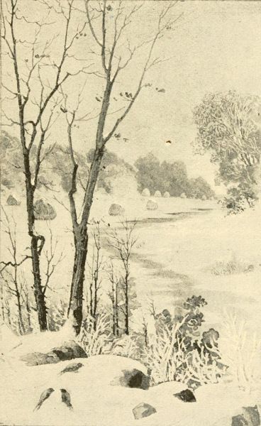 Mit Schnee bedeckte Bäume am Bach, James Thomson 