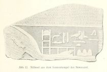 Abb. 12 Nilinsel, auf der die Kapelle eines Krokodilgottes liegt