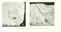 Tafel 14 Kopf eines Asiaten (links) und eines Puntiers (rechts) unter den Tatzen der Sphinx