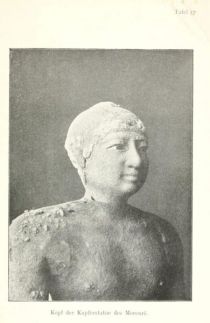 Tafel 17 Kopf der Kupferstatue des Merenrê