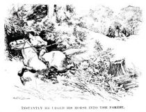 „Instantly he urged his horse into the forest“