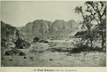 013 Wadi Mokatteb (Tal der Inschriften)