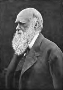 Charles Robert Darwin (1809-1882), englischer Naturforscher