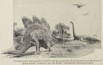 Urzeit, Ein mit großen Panzerplatten bedekcter und mit gewaltigen Stacheln versehener Stegosaurus (Panzerdrache) beobachtet zwei im Wasser schwimmende Schlangensaurier