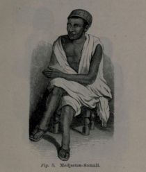 Fig. 005 Medjerten-Somali
