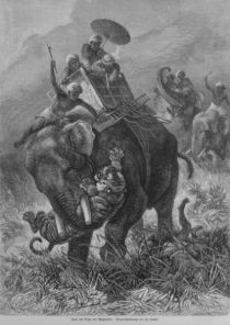 Jagd, auf Tiger mit Elefanten