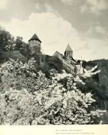 038 Wie im Märchen - Burg Zwingenberg