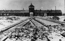 Torgebäude des KZ Auschwitz-Birkenau 1945 kurz nach der Befreiung