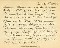 Aus dem Brief vom 20. Juli 1917
