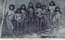 055. Acht Karaibenfrauen und -Mädchen mit dem Uluri