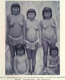 063. Ipurina-Indianerinnen, zwei mit Baumwollenschurz, die dritte mit Feigenblatt bekleidet. (Nasenstäbchen)