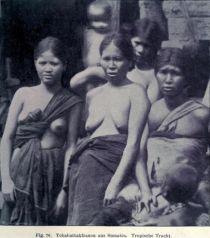 076. Tobabattakfrauen aus Sumatra