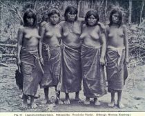 082. Anguaitas-Indianerinnen. Südamerika. Tropische Tracht
