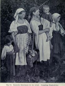 195. Russische Bäuerinnen bei der Arbeit 
