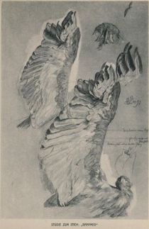 Studie zu dem Stich „Ganymed“, Adlerflügel — Feder, Kreide und Pastell — Dresden, Kupferstich-Kabinett 