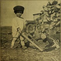 Jungbauer beim Holzmachen