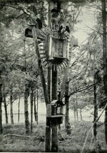 Kreuz auf dem Kirchhof in Panoschischken 