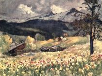 Blühende Alpenwiese