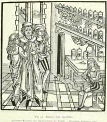 Fig. 42. Inneres einer Apotheke. (Jeronimus Brunswig, Das Apothekerbuch der Vergift. — Strassburg, Grüninger, 1500.)