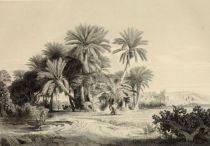 003. Kairo, von den Anlagen des Ibrahim Pascha aus gesehen (Westen)