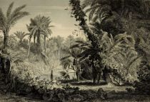 006. Insel Roudali (im Nil)