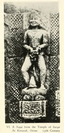 Kamasutra 6. A Naga from the Temple of Surya