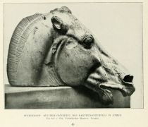 043. Pferdekopf. Aus dem Ostgiebel des Parthenontempels in Athen. Um 435 v. Chr. Pentilischer Marmor. London