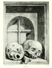 004 Schädel. Hans Holbein