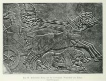 058. Assyrischer König auf der Löwenjagd. Wandrelief aus Kalach