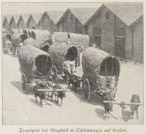 Ceylon, Transport des Graphits in Ochsenwagen