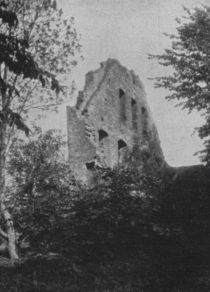 Bad Doberan Seite 2 Kloster-Ruine