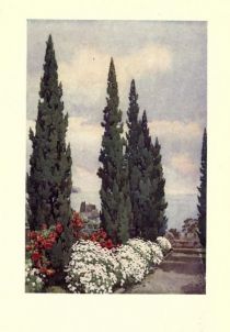 Madeira, Cypress Avenus, Quinta Stanford