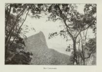 Brasilien 017 Der Corcovado