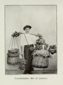 Brasilien 019 Fruchthändler (Rio de Janeiro)