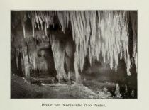 Brasilien 029 Höhle von Monjolinho (Sao Paulo)