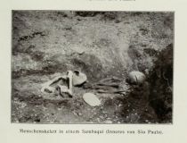 Brasilien 030 Menschenskelett in einem Sambaqui (Inners von Sao Paulo)