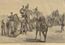 Der Krieg Englands gegen Afghanistan. XI - Im Sand versunkene englische Kanone von Elefanten gezogen