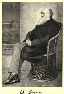 Dawin, Charles (1809-1882) britischer Naturwissenschaftler, Entwickler der Evolutionstheorie