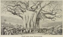 Affenbrotbaum, Markt unter einem Riesenbaobab