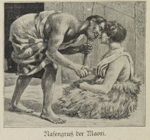 Sitten, Nasengruß der Maori
